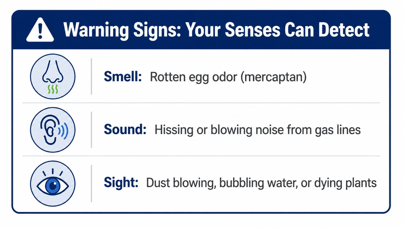 A safety infographic titled Warning Signs Your Senses Can Detect listing smell, sound, and sight of gas leaks.