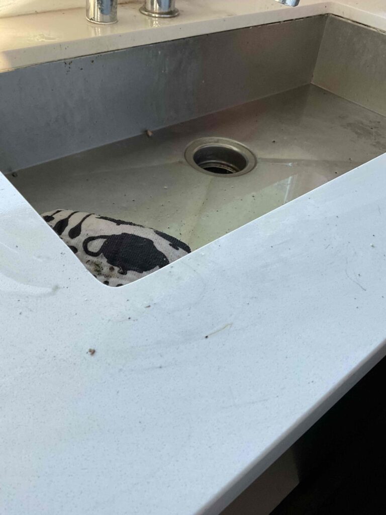 Clogged Drain in Culver City — detail 3