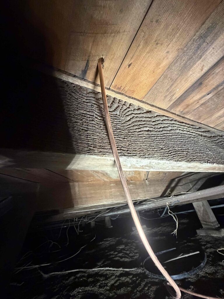 Pipe Leak in Long Beach — detail 2