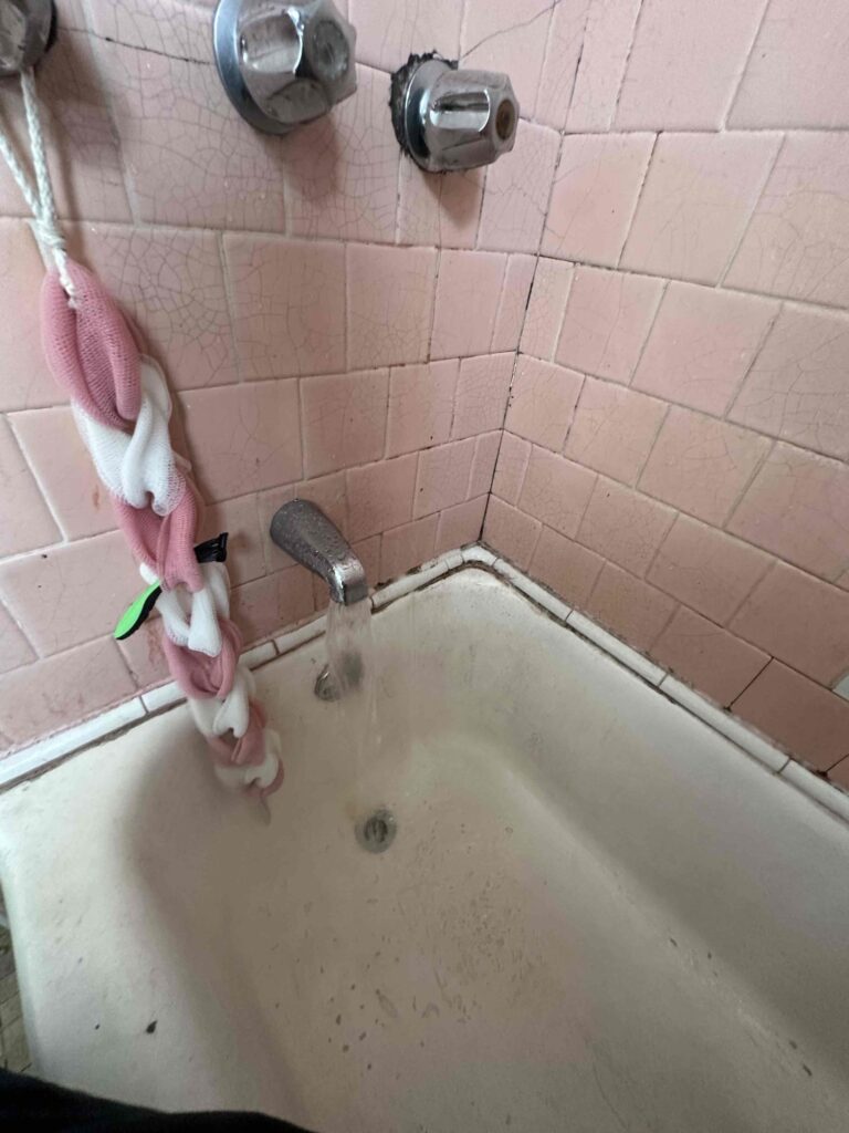 Clogged Drain in Los Angeles — before