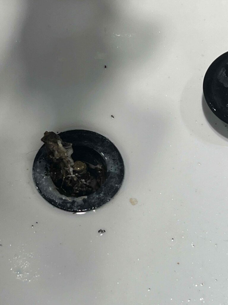 Clogged Drain in Los Angeles — detail 2
