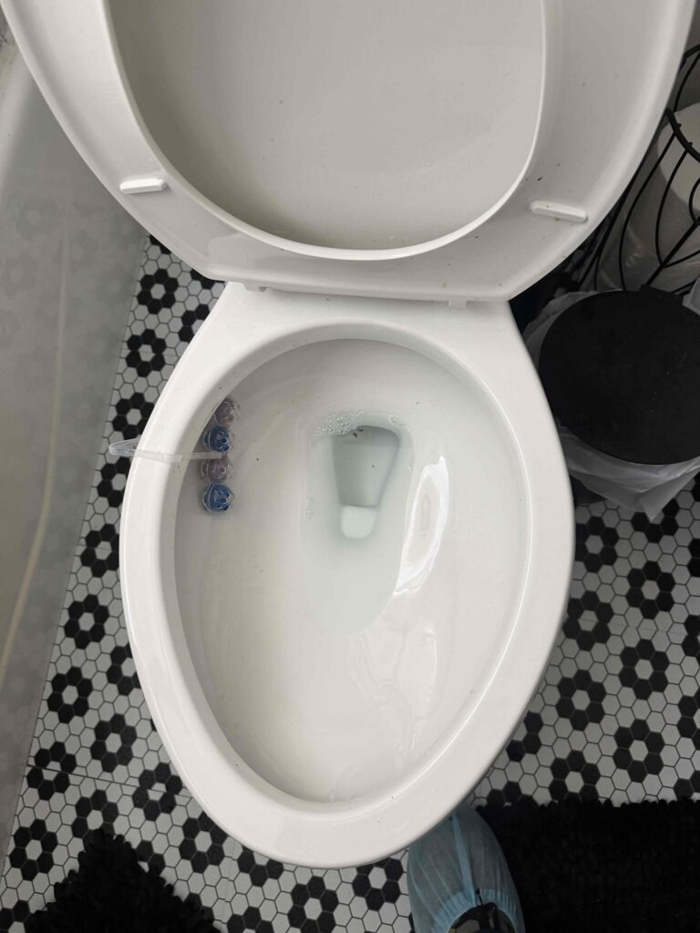 Clogged Toilet in Los Angeles — before