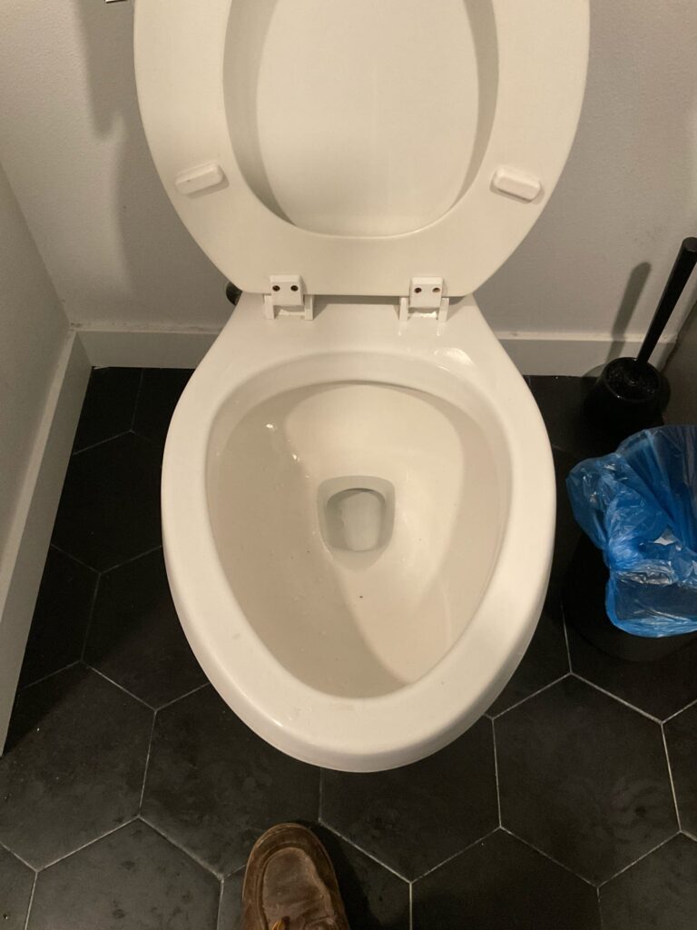Clogged Toilet in Los Angeles — before