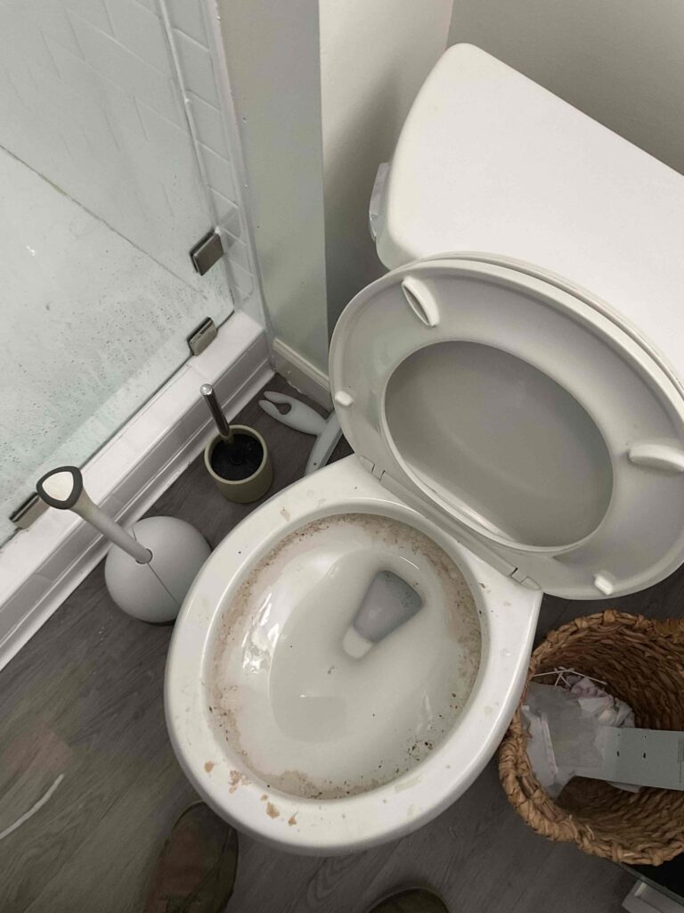 Clogged Toilet in Los Angeles — detail 2