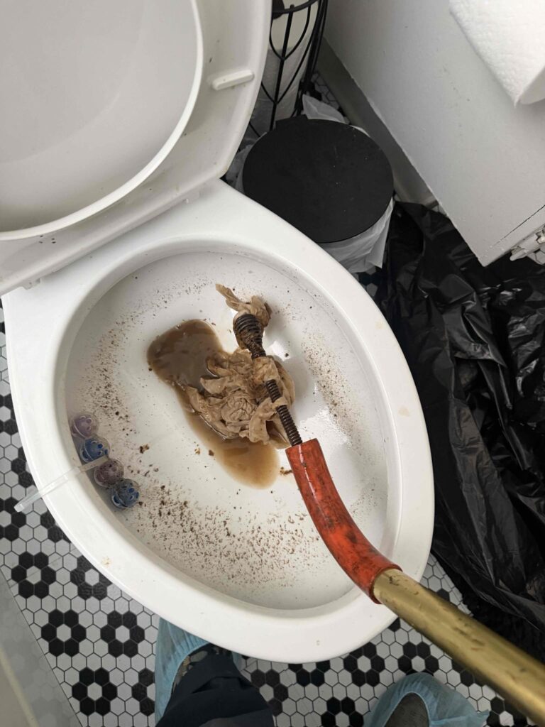 Clogged Toilet in Los Angeles — detail 3