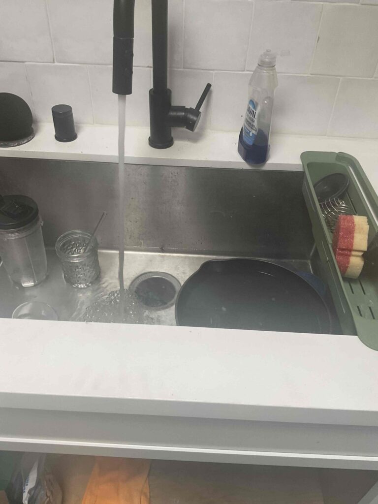 Garbage Disposal in Los Angeles — detail 3