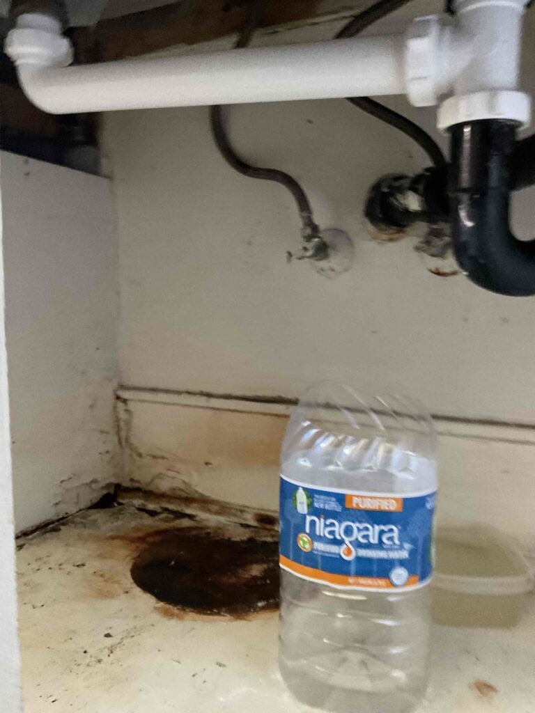 Pipe Leak in Los Angeles — detail 2