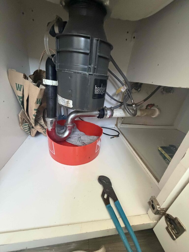 Clogged Toilet in Marina del Rey — detail 4