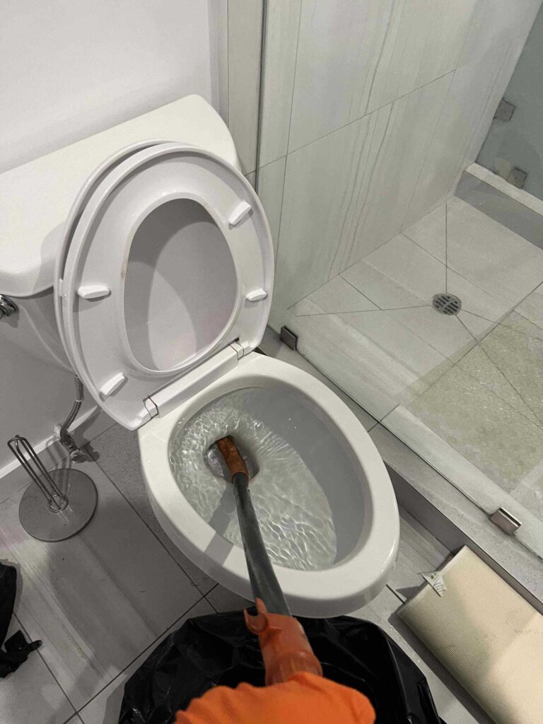 Clogged Toilet in Santa Monica — detail 2