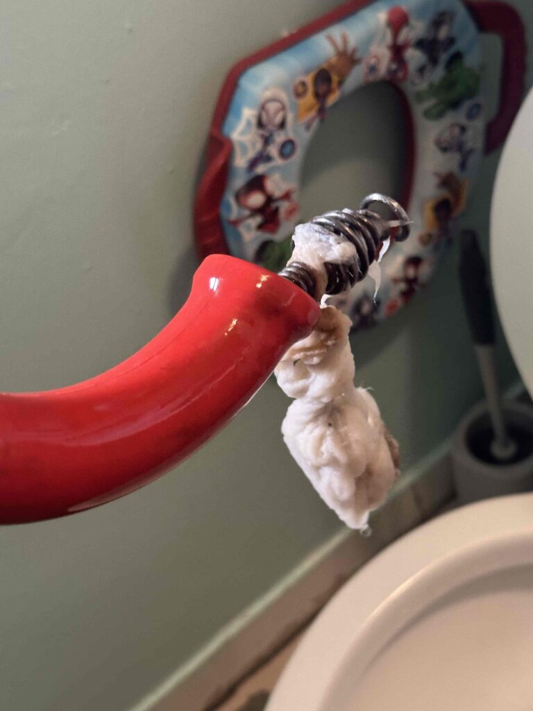 Clogged Toilet in Santa Monica — detail 2