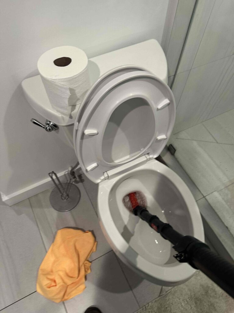 Clogged Toilet in Santa Monica — detail 2