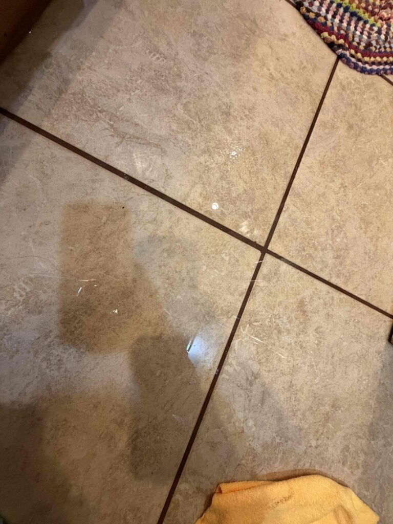 Clogged Toilet in Santa Monica — detail 3