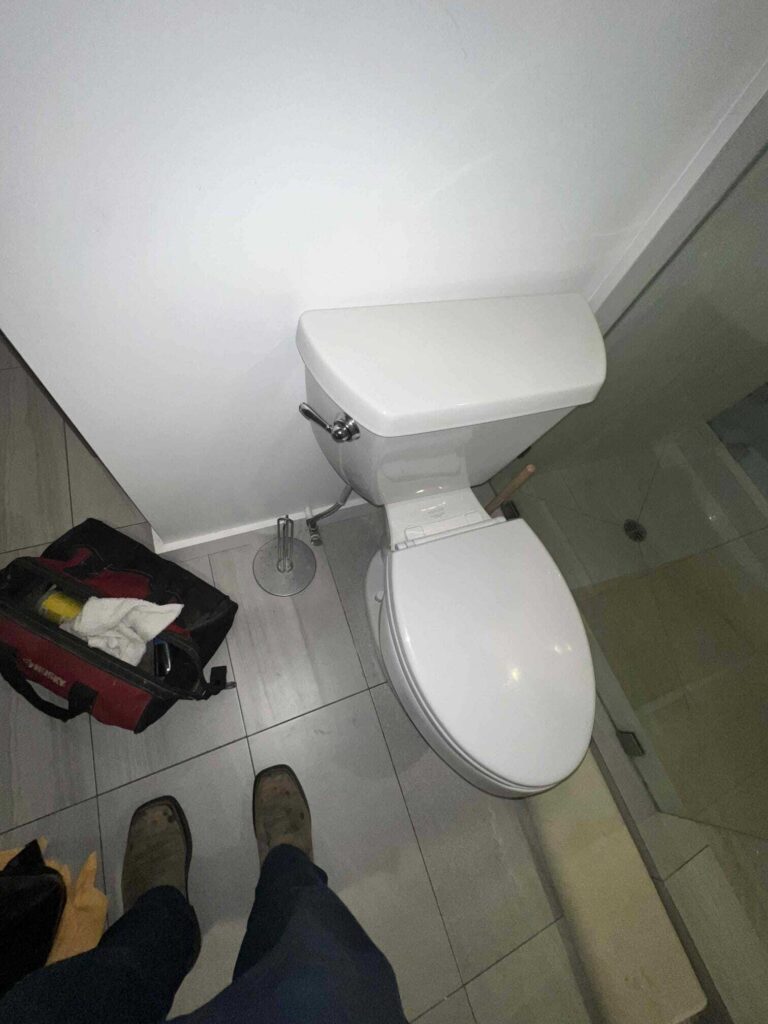 Clogged Toilet in Santa Monica — detail 3