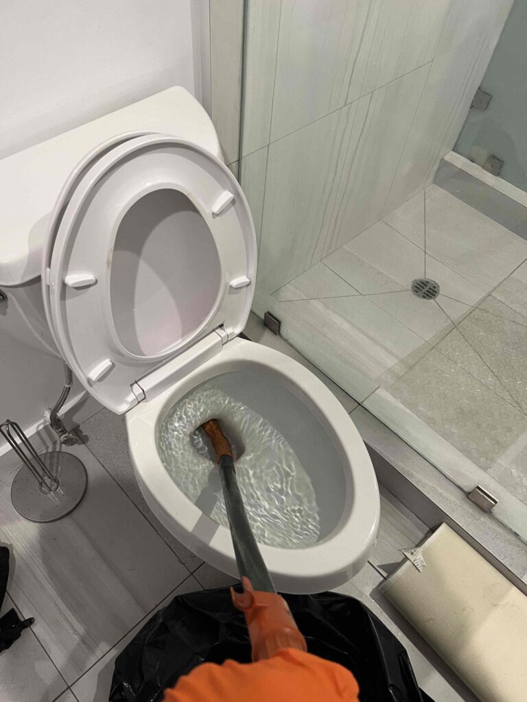Clogged Toilet in Santa Monica — detail 4