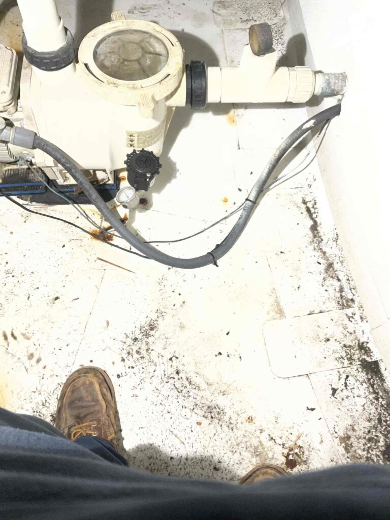 Emergency Call in Santa Monica — detail 3