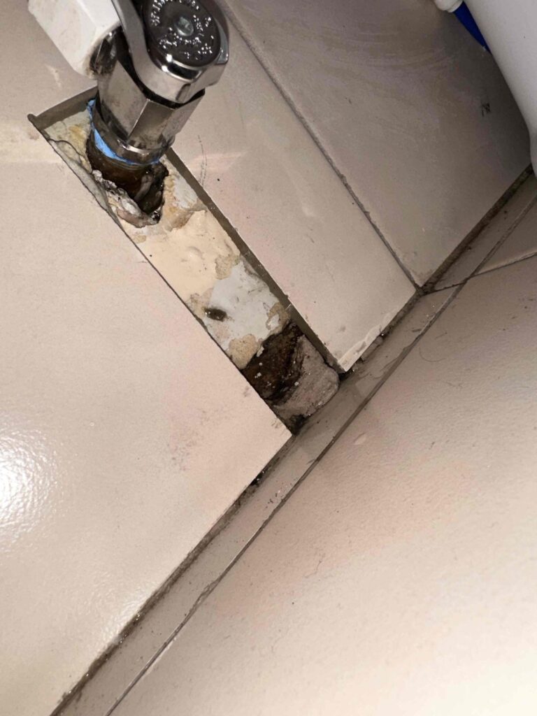 Pipe Leak in Santa Monica — detail 2