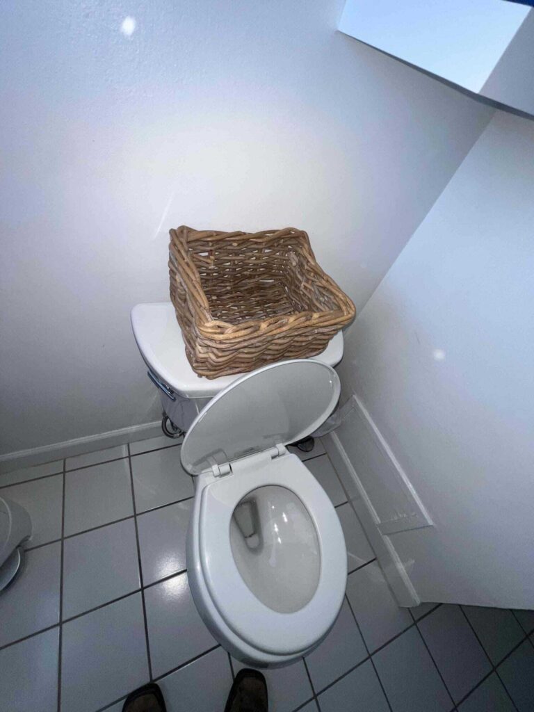 Clogged Toilet in Sherman Oaks — before