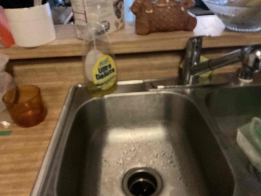 Leaky Faucet in Sherman Oaks — before