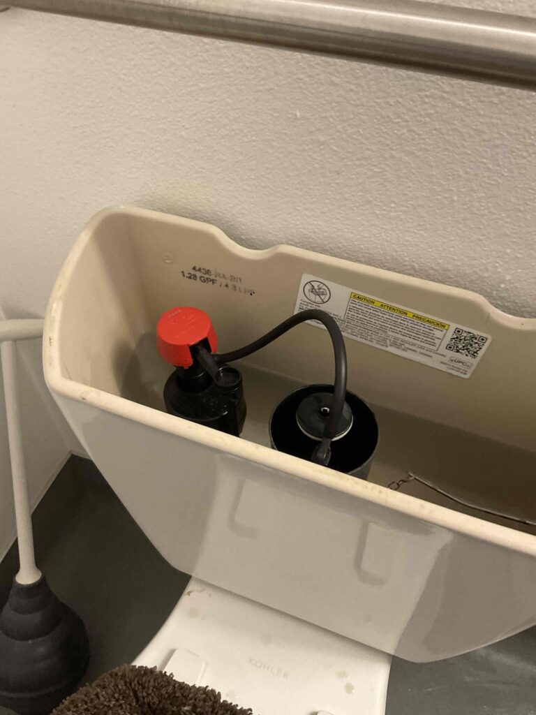 Clogged Toilet in Sun Valley — before