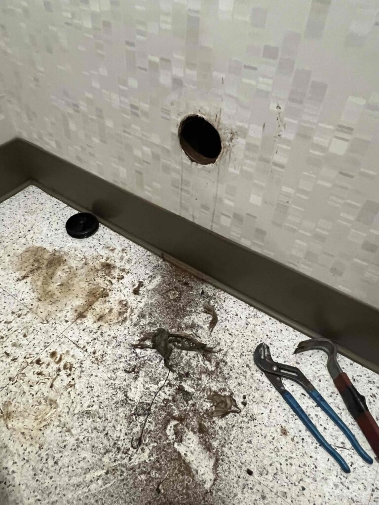 Clogged Toilet in Toluca Lake — detail 2