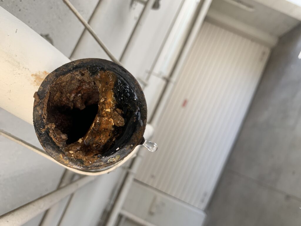 Garbage Disposal in Toluca Lake — before