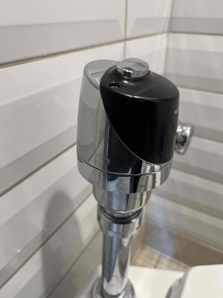 Clogged Toilet in West Hills — before