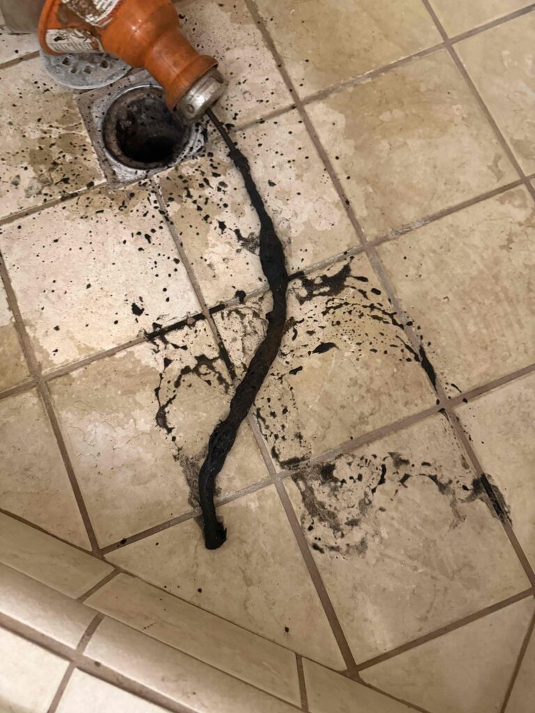 Clogged Toilet in West Hollywood — before