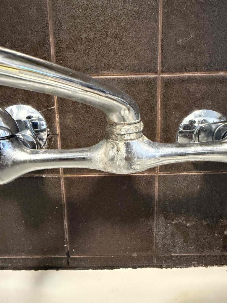 Clogged Toilet in West Hollywood — detail 2