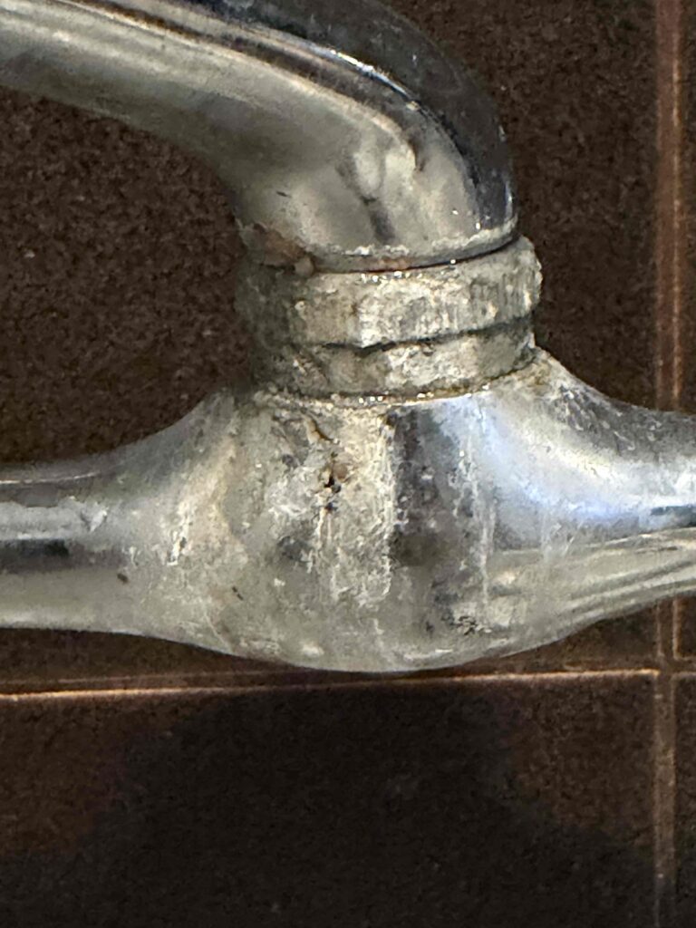 Clogged Toilet in West Hollywood — detail 2