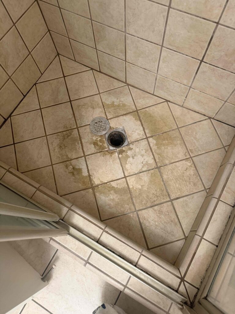 Clogged Toilet in West Hollywood — detail 3