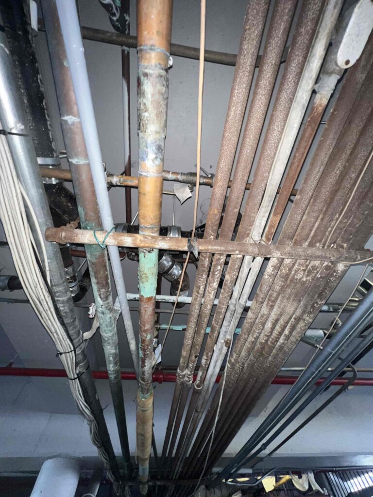 Pipe Leak in West Hollywood — detail 4