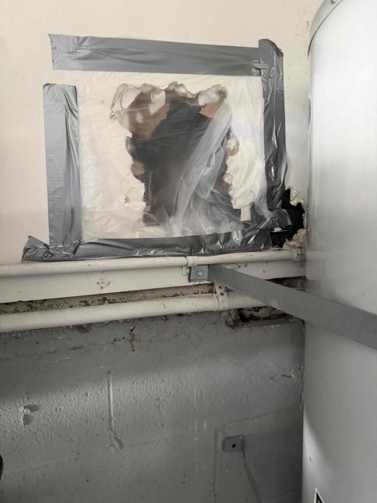 Pipe Leak in Woodland Hills — detail 3