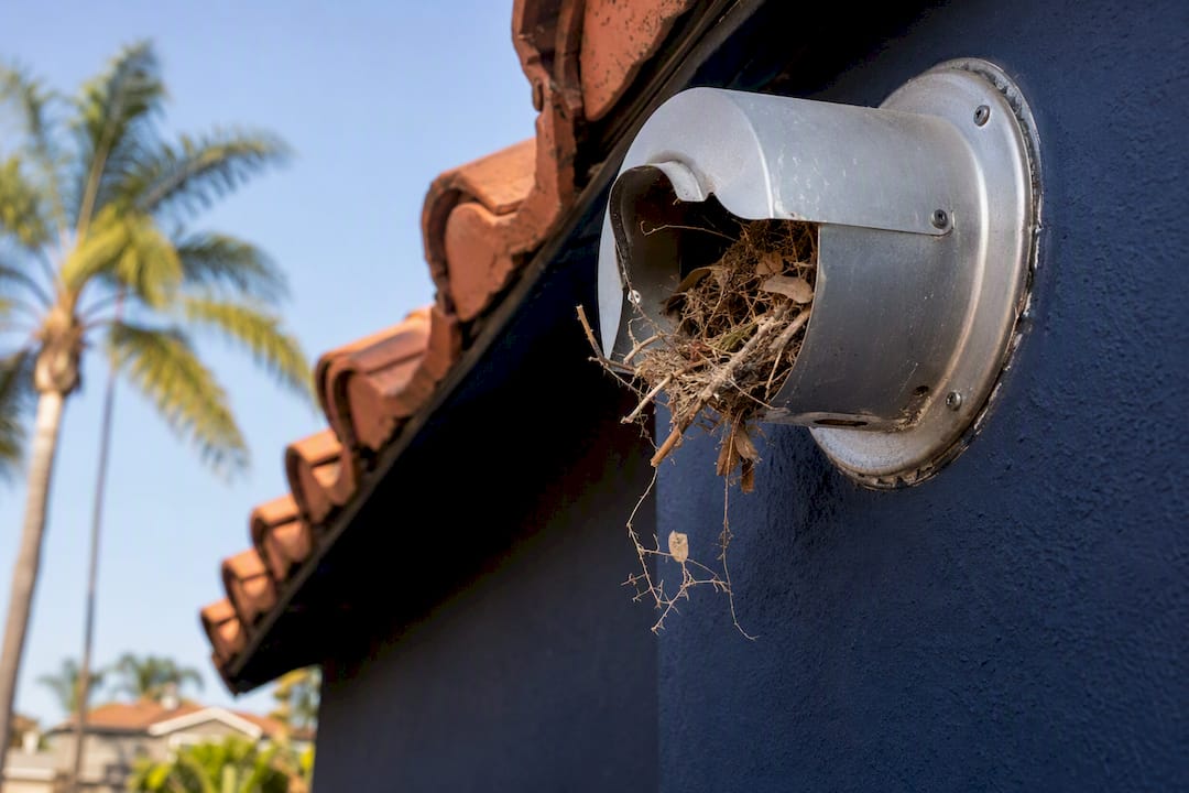 Debris blocking exterior water heater vent pipe